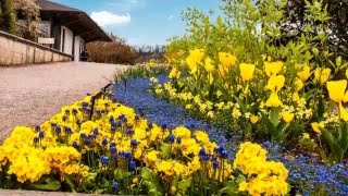 Beautiful English Gardens