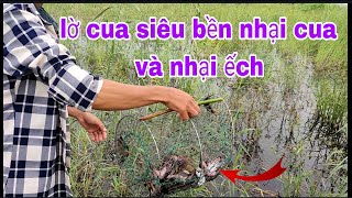 thăm lợp cua siêu bền quá nhiều cua đồng và ếch luôn #cuocsongmientay