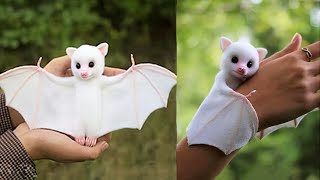 Cutest Baby Animals 2022 [Funny Pets]