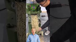 22Kw electric motor pellet mill machine for farming #fcnfm #feedpelletmachine