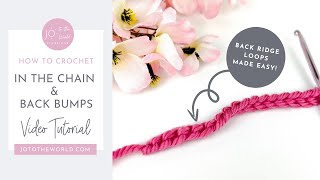 How to Crochet in the Foundation Chain & Back Ridge Loops/Back Bumps of Starting Chains - Made Easy!