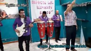 Grupo Sentimiento Profundo,   Agüita de Mar,   Mendigo de Amor,   Estrellita en vivo