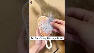 Pet Cats Spray Massage Comb Grooming Brush