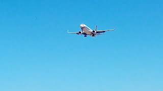 aeroitalia 737 landing at fiumicino airport