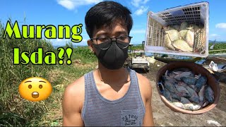 Murang Isda Sa Laguna De Bay?! | Alvin Leona