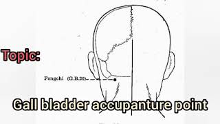 Gall bladder (GB 20) Acupuncture point