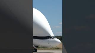 Airbus Beluga XL landing in Berlin and close ups #short #airbus #landing #beluga