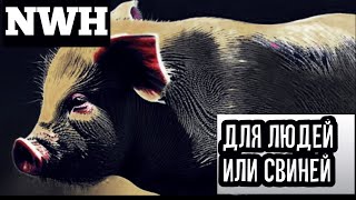 NWH-ДЛЯ ЛЮДЕЙ ИЛИ СВИНЕЙ(АЛЬБОМ)