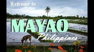 WAKING UP IN MAYAO PHILIPPINES- travel vlog (part 1)