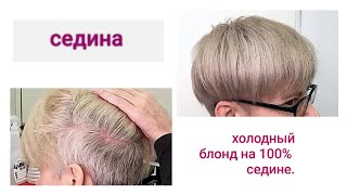 седина. холодный блонд на 100% седине.