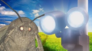 The sad, short lived story of the Moth and the Lamp