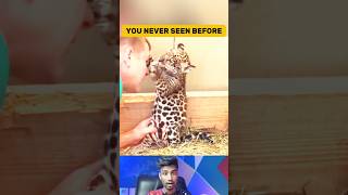 Unbelievable! Baby Leopard Hug His Owner