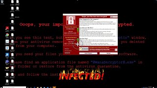 Ransomware Reversal