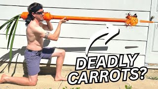 I Built a Carrot Cannon!