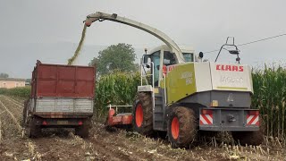 TRINCIATURA MAIS | CLAAS JAGUAR 890 | NEW HOLLAND TS135A - FIATAGRI 100-90 | 80-66 - FIAT 640