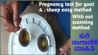 How to pregnancy test for goat sheep & cow | free pregnancy test at home in kannada sheep farming