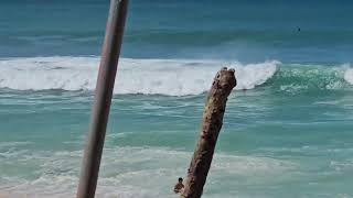 Early Winter Surfs...#HI. #North Shore #Ehukai Beach Park