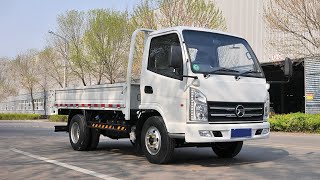 1680 series 2 doors LHD diesel cargo truck