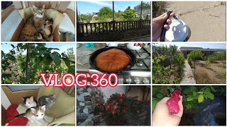 HƏFTƏ SONU BAĞDA KEÇDİ | BAĞIN YENİ SAKİNLƏRİ VLOG360