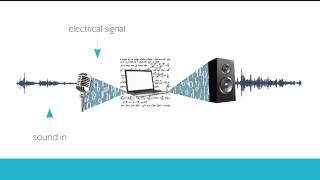 How do sound systems and hearing aids work?