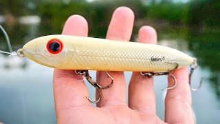 Fishing Topwater Lures for Fall Redfish & Speckled Trout