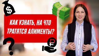 Как проверить на что и куда тратятся алименты? Целевое использование алиментов