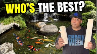 This is the BEST MEDIA for your Koi Pond!