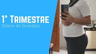 DIÁRIO DE GRAVIDEZ - PRIMEIRO TRIMESTRE