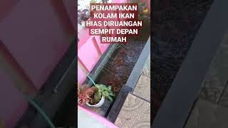 KOLAM IKAN HIAS DIRUANGAN SEMPIT DEPAN RUMAH