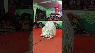 Singo Barong TCB Oyee