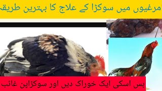 murga ka sokra ka ilaj | anorexic chicken | Dr Asif