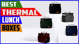 Top 5 Best Thermal Lunch Boxes in 2023 reviews