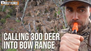 Calling Hundreds of Deer into Bow Range- Self filmed