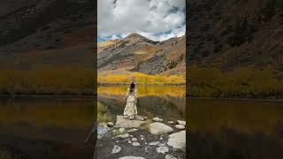 View from Sunday 10/9/22 💛Eastern Sierra is all in fall colors now. #shorts #california #travelblog