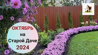 Старая Дача 6 октября 2024. Архив.