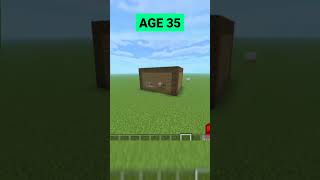 Minecraft: Houses at Different Ages (World's Smallest Violin) 🤔 #shorts