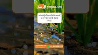 JHK Farmer Quote | Motivational quotes Telugu II Inspirational Quotes II Telugu Quotes #jhk