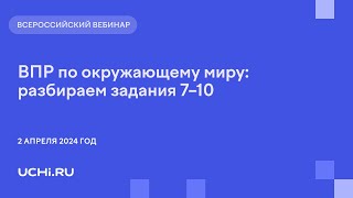 ВПР по окружающему миру: разбираем задания 7–10