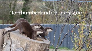 Northumberland Country Zoo