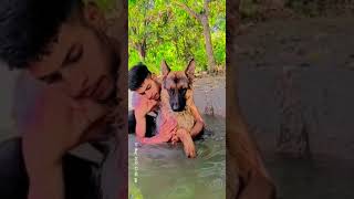 German shepherd dog bath with owner #viral #trending #music #youtubeshorts #shorts #short