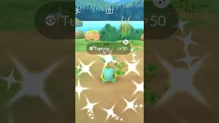 Shiny Turtwig Pokemon GO