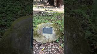 redwood forest preservation efforts by Colonel Armstrong & daughter.#redwoodforest #hiking #forest