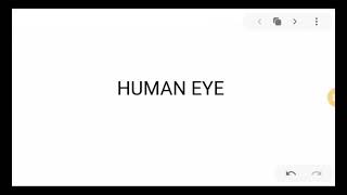 THE HUMAN EYE AND ITS FUNCTIONS