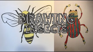 Drawing Insects