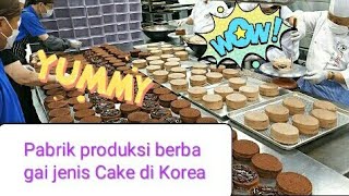 Luar Biasa !! Pabrik ini Memproduksi Beragam Cake cantik Terbaik di Korea | Makanan korea