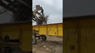 drum wood chips machine