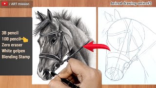 How to draw a horse /Animal drawing series#3