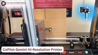 CoPilot Gemini Printing system