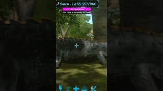 I Tame Sarco In Ark Mobile #shorts #arkmobile