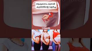 ആദ്യ മാസം മുതൽ കുഞ്ഞിന്റെ വളർച്ച  #pregnancycaremalayalam  #pregnancy #shot #trending #live